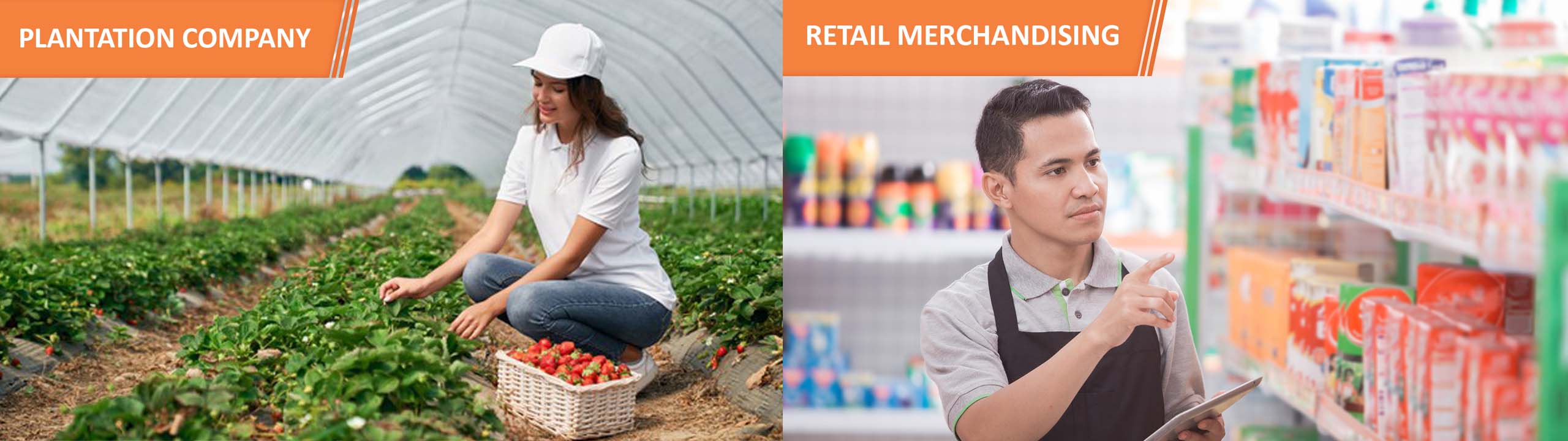 Plantation, Retail Merchandising