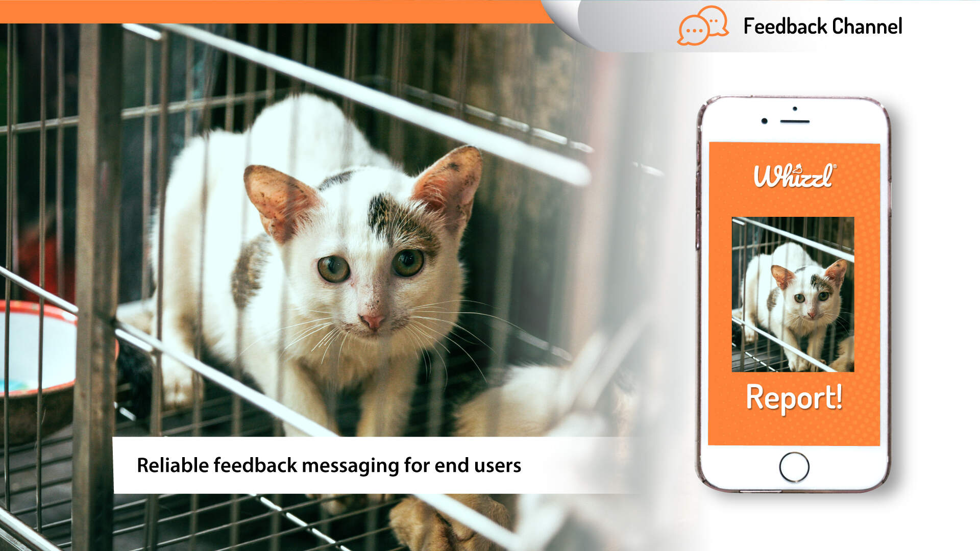 Feedback Channel, Whizzl, Report!, Reliable feedback messaging for end users