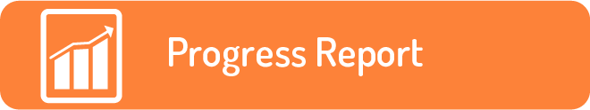 Progress Report
