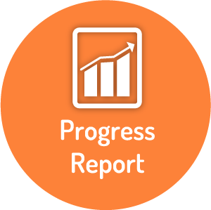Progress Report